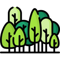 Forêts partagées